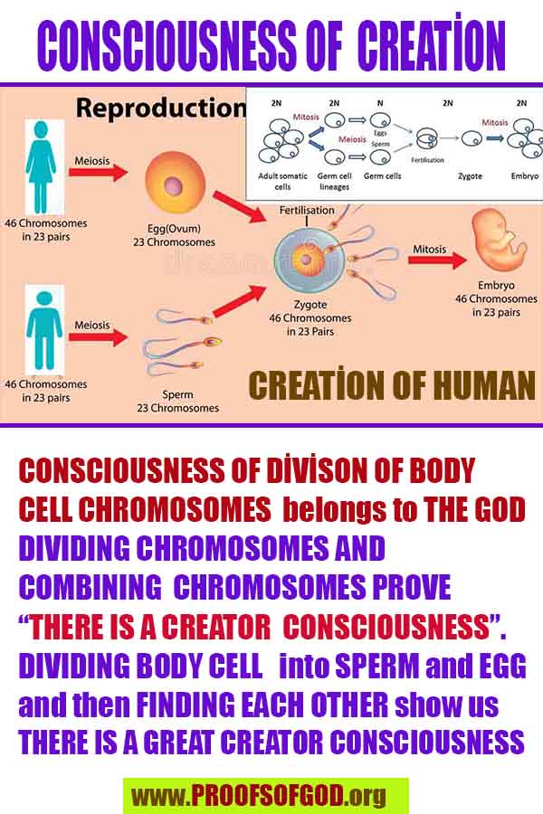 God is real, God exists here Proofs and evidences, Proofs and evidences of God
