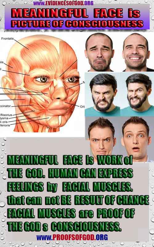 God is real, God exists here Proofs and evidences, Proofs and evidences of God