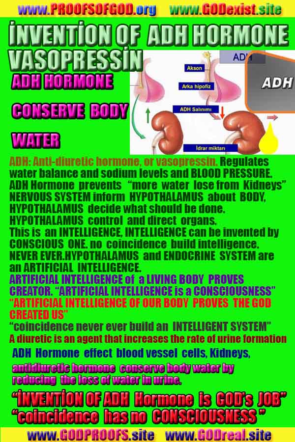 God is real, God exists here Proofs and evidences, Proofs and evidences of God