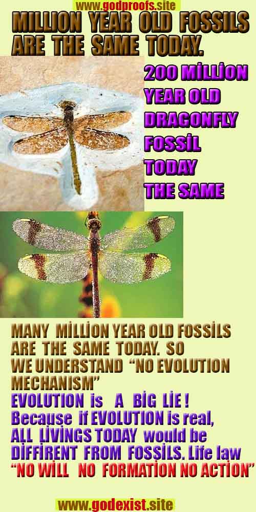 God is real, God exists here Proofs and evidences, Proofs and evidences of God